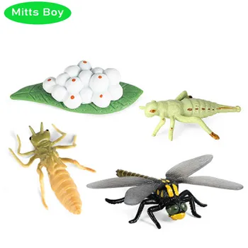 4buc de Simulare de Animale Copil Model Mini Animale de insecte Libelula Albine Melci Ciclu de Creștere PVC Cifrele de Acțiune Păpușă jucărie pentru Copil Cadou