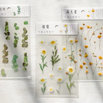 6 Modele Naturale Daisy Clover Cuvinte Japoneze Autocolante PET Transparent Material Flori Frunze Plante Decorative Autocolante