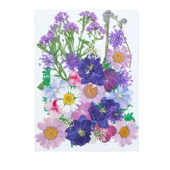 YUNZHI Presat Flori Mixte de Flori Uscate DIY Arta Florale, Decoruri Colecție de Bijuterii Cadou Epoxidice Caz de Telefon de Fata cu Petale de Machiaj
